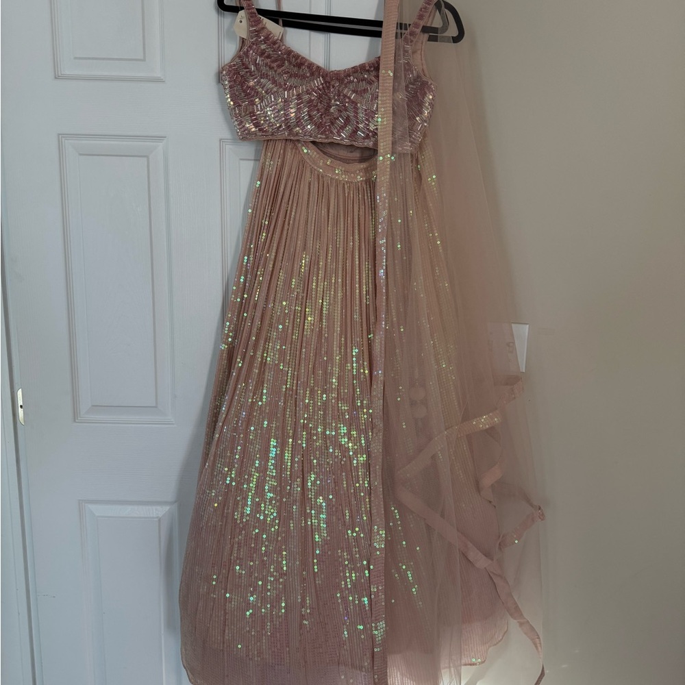 Pink Sequin Lehnga